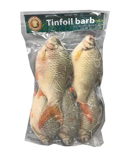 Asean Sea Tinfoil Bard Fish